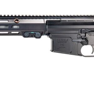 Geissele Automatics Vsass® Mrgg MK1 Rifle, 16", .308 - Black