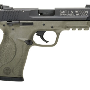 S&W MP22C 22LR 3.3FDE TB