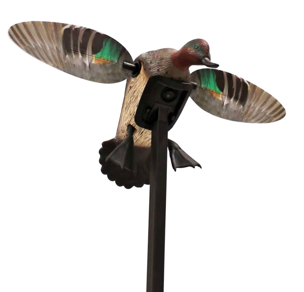 Mojo Outdoors HW24743P Elite Series Green Winged Teal Duck Species Natural Molded Plastic Features Remote Compatible