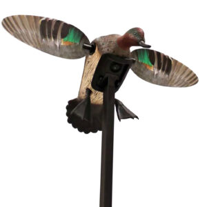 Mojo Outdoors HW24743P Elite Series Green Winged Teal Duck Species Natural Molded Plastic Features Remote Compatible