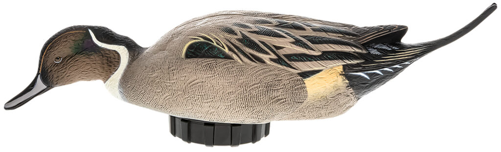 Avian X AVXPSHPNSF Power Shaker Pintail Surface Feeder Duck Decoy Multi-Color