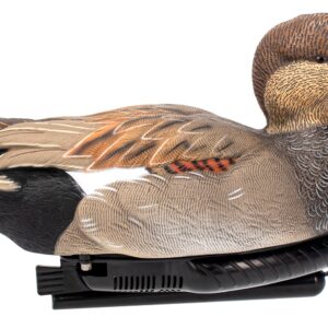AVIAN AVX-PSW-GDSW  POWER SWIMMER GADWILL DRAKE