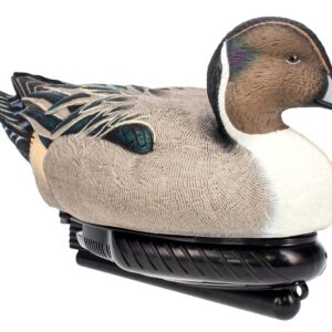 AVIAN AVX-PSW-PNSW  POWER SWIMMER PINTAIL DRAKE