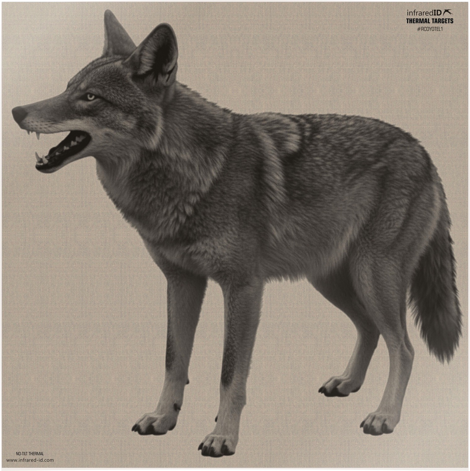 INFRARED-ID RCOYOTEL1 THERM COY TARGT