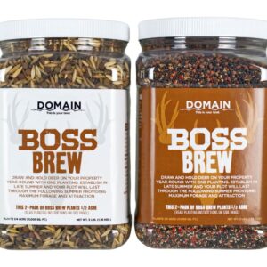 DOMAIN BBFP6 BOSS BREW