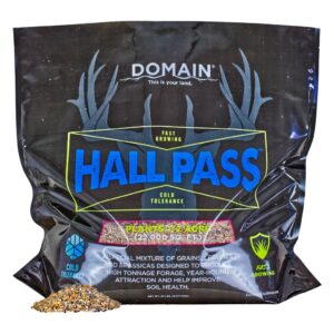 DOMAIN HPFP20      HALL PASS