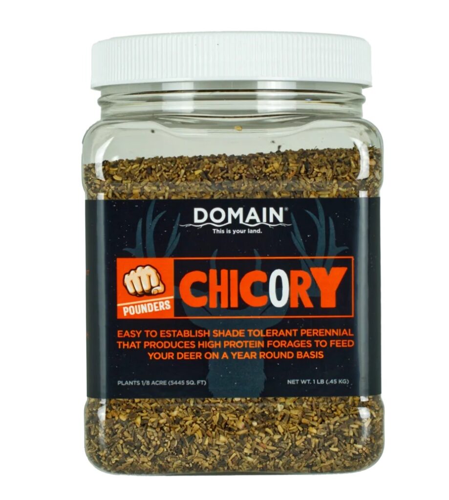 DOMAIN DCS1LB POUNDER - CHICORY