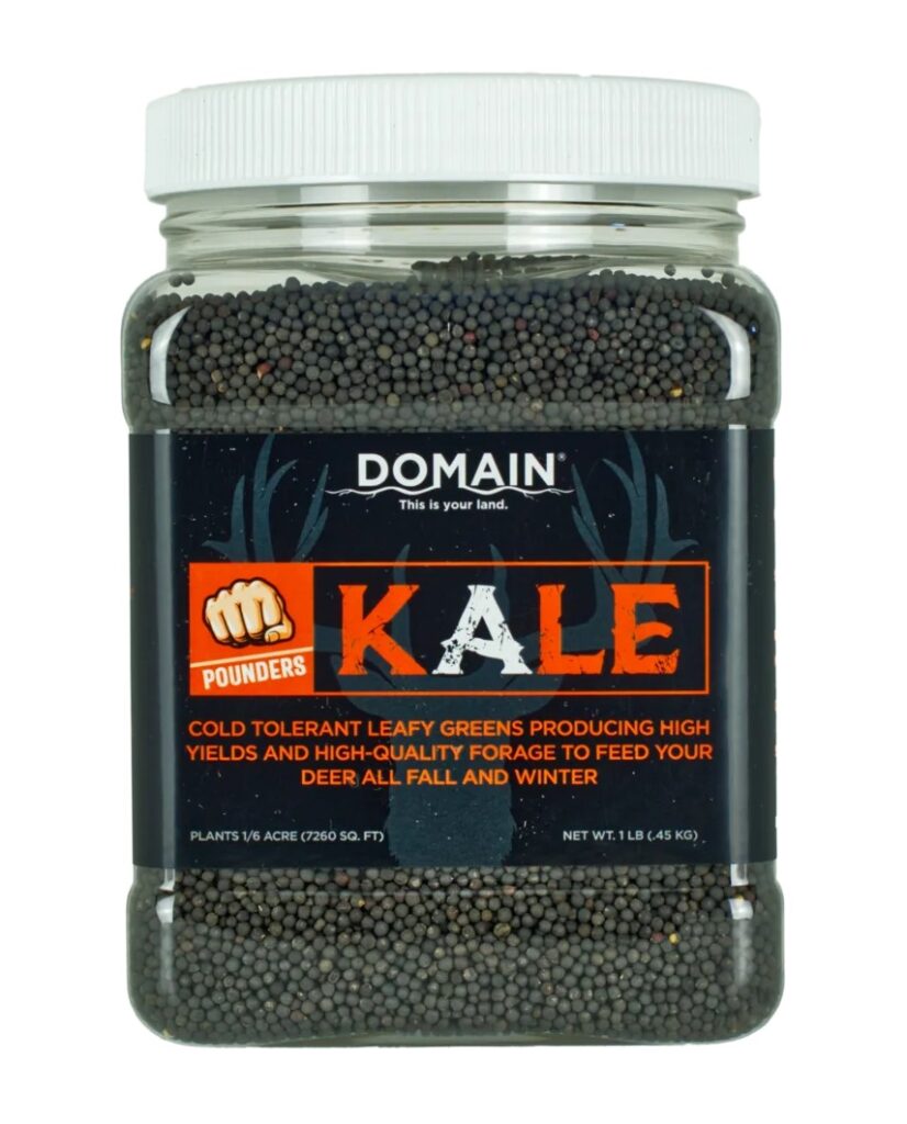 DOMAIN DKS1LB POUNDER - KALE