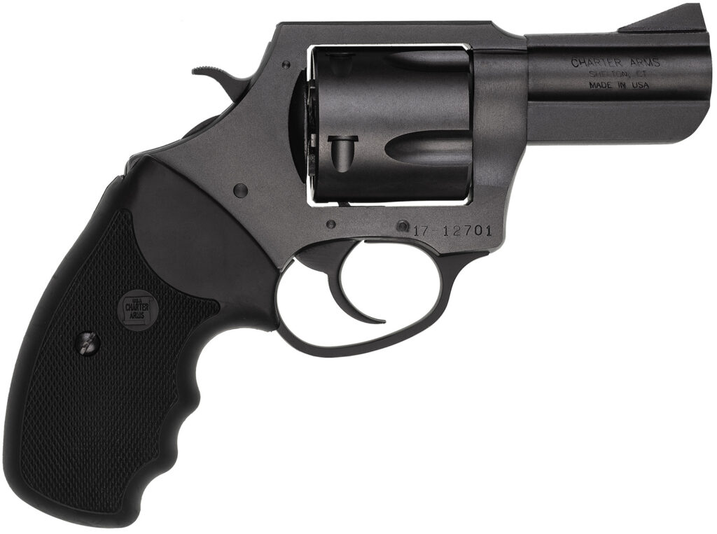 CHARTER ARMS CHARTER PITBULL 45ACP NIT 2.5"