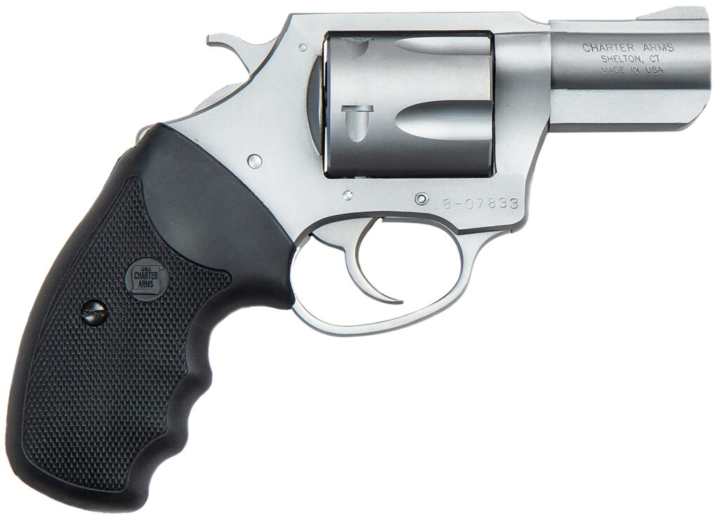 CHARTER ARMS CHARTER PITBULL 9MM SS 2" FS