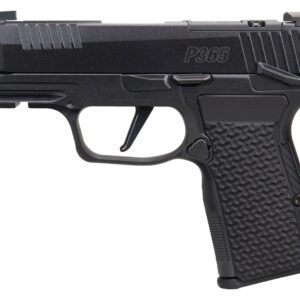 SIG SAUER P365 AXG LUXE 380ACP MS CA