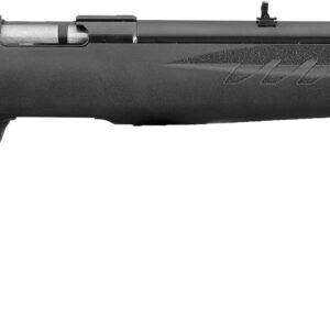 RUG AM RFL RF 17HMR 9RD B