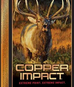 WINCHESTER COPPER IMPACT 300 - WSM 180GR 20RD 10BX/CS