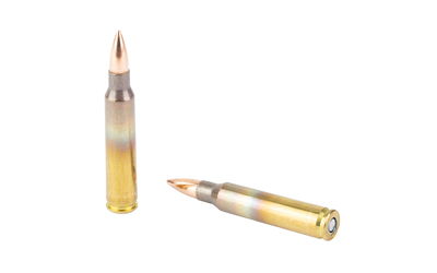 FED AM EAGLE 556NATO 55GR FMJ 20/500 - Image 4