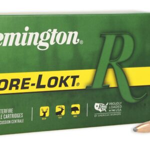 REM 300WSM 150GR CORE PSP 20RD