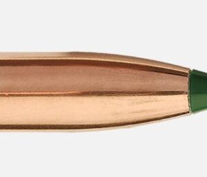 SIERRA BULLETS .22CAL .224 - 69GR TIPPED VARMING KING 100CT