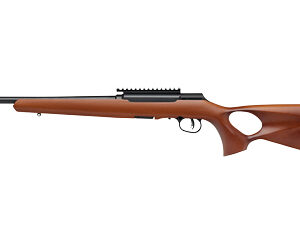 SAV A22 TIMBER 22LR 16.5" TB 10RD WD