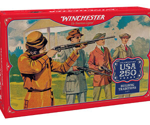 WIN AA 250TH 12GA 2.75" #8 10/60