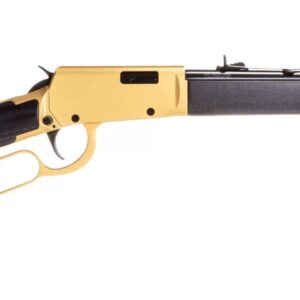 ROSSI RIO BRAVO 22LR GLD/BK 18" #