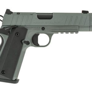 TISAS NIGHT STALKER COMP 10MM GRY #
