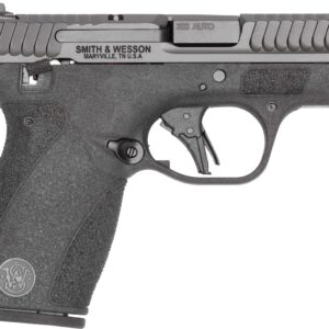 S&W BG2.0 380 10RD B TS NS CA