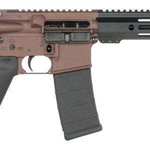 Shark Coast Tactical SCC07190HOLM-P Holmes  5.56 NATO 30+1 10.50" Black Nitride Threaded Barrel, Aluminum Receiver w/Picatinny Rail, M-LOK Handguard, Polymer SB Tactical SBA3 Brace, Polymer Grip