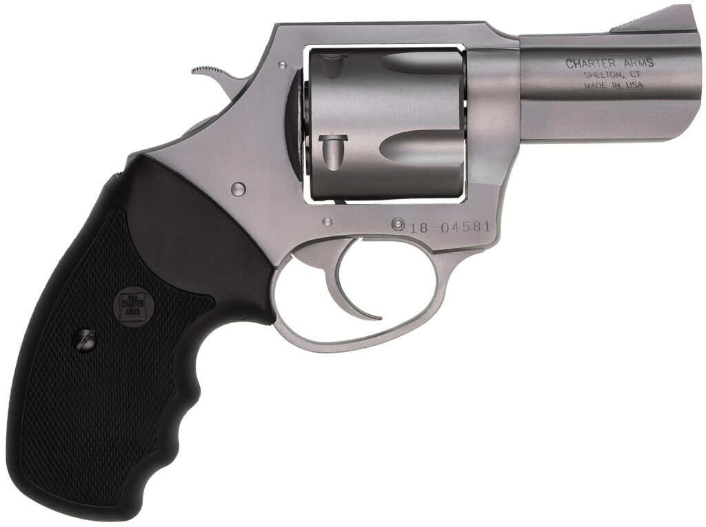 CHARTER ARMS BULLDOG 45LC STAINLESS 2.5"