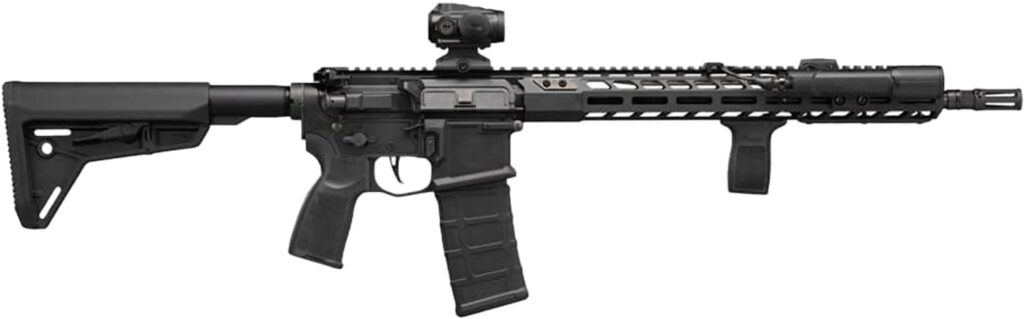 SIG M400 SENTRY RFL 5.56 30RD